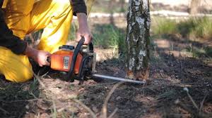 Best Pest Control for Lawns  in West Slope, OR