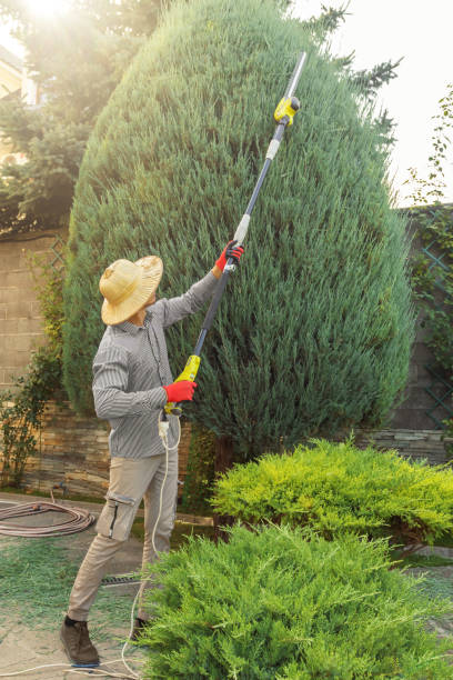 Best Soil Testing and Treatment  in West Slope, OR